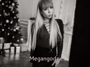 Megangodnes
