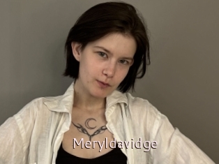 Meryldavidge
