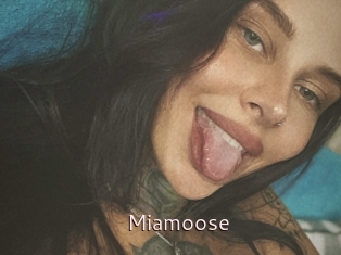 Miamoose