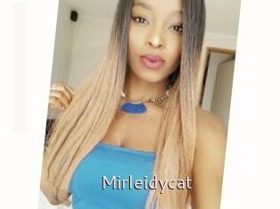 Mirleidycat