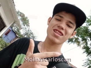 Molinascarloscam