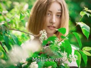 Mollieevans