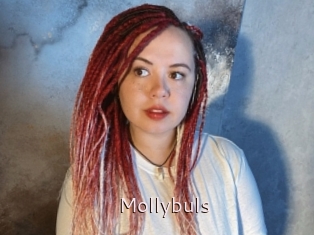 Mollybuls