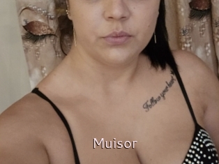 Muisor