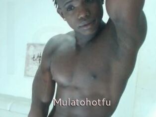 Mulatohotfu