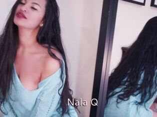 Nala_Q