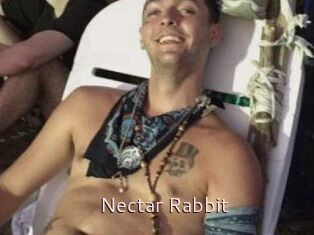 Nectar_Rabbit