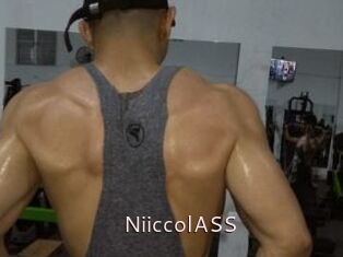 NiiccolASS