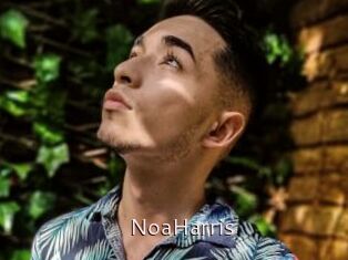NoaHarris