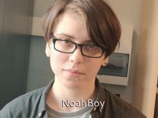 NoahBoy