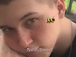 NoahSweet