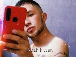 Noah_kitten
