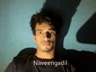 Naveengadil