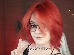 Necatoffee