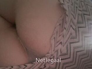 Netlegaal