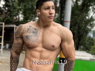 Noaharris19