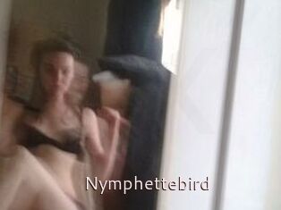 Nymphettebird