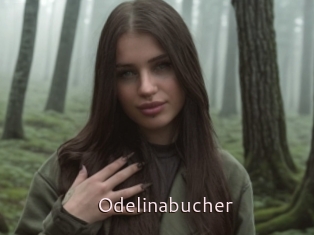 Odelinabucher