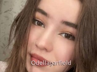 Odellagarfield