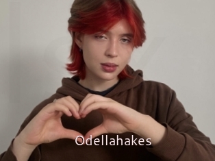 Odellahakes