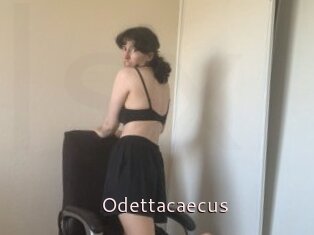 Odettacaecus