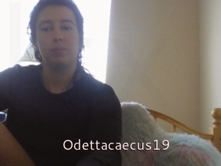 Odettacaecus19
