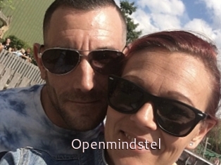 Openmindstel