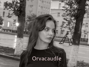 Orvacaudle