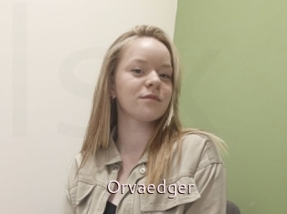 Orvaedger