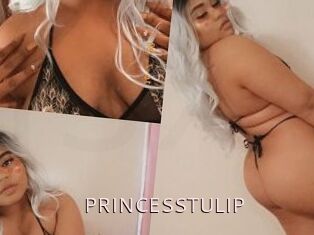 PRINCESSTULIP