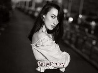 PaleDaisy