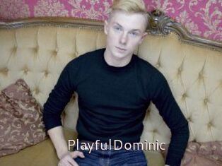 Playful_Dominic