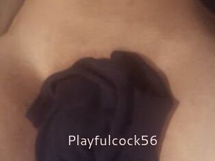 Playfulcock56