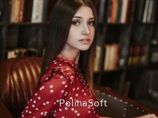 PolinaSoft