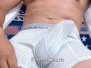 Penesi24cm