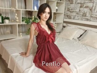 Penflo