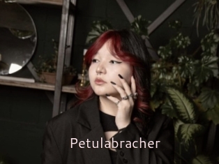 Petulabracher