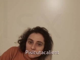 Pisicutacalient