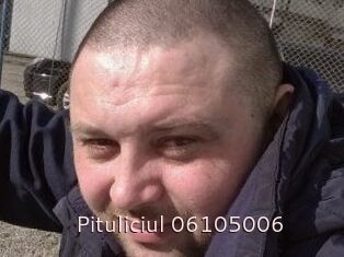 Pituliciul-06105006