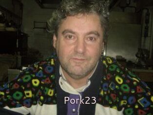 Pork23