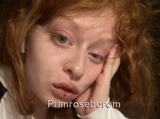 Primroseborom