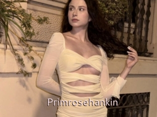Primrosehankin
