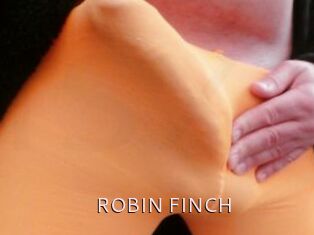 ROBIN_FINCH