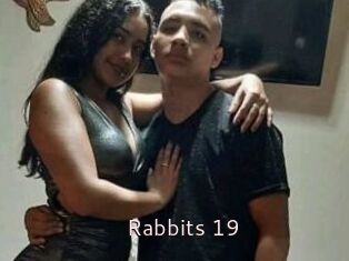 Rabbits_19