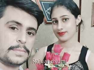 Rajuandsumi