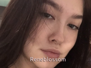 Reneblossom