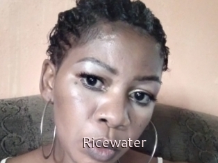 Ricewater