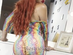 Rosarioleey