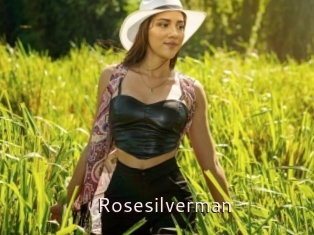 Rosesilverman