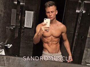 SANDRO_MUSCLE